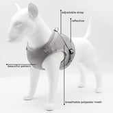 Kuber Industries Reflective Dog Harness With Adjustable Leash|Breathable Polyester Mesh Fabric |XL Size|HT-844|Comfortable No-Pull Grip|QuickRelease Buckles|Easy On - Easy Off Harness|Grey (Pack Of 5)